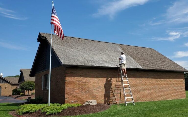 Does Your Roof Have Black Streaks?